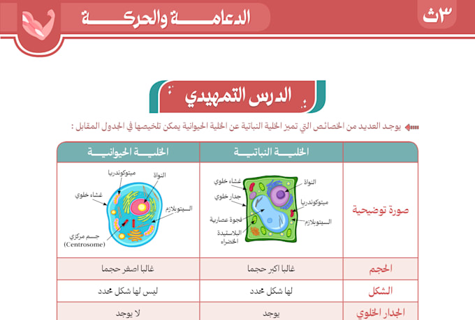 do professional arabic rtl book design and educational formatting